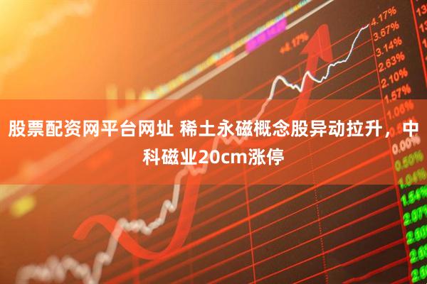 股票配资网平台网址 稀土永磁概念股异动拉升，中科磁业20cm涨停