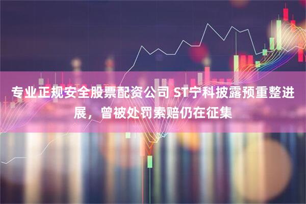 专业正规安全股票配资公司 ST宁科披露预重整进展，曾被处罚索赔仍在征集