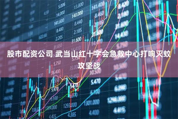 股市配资公司 武当山红十字会急救中心打响灭蚊攻坚战