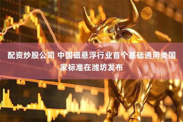 配资炒股公司 中国磁悬浮行业首个基础通用类国家标准在潍坊发布